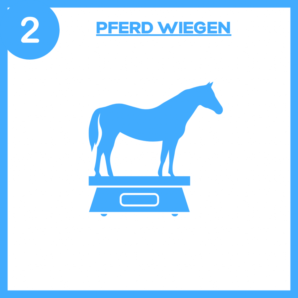 Pferd auf Pferdewaage