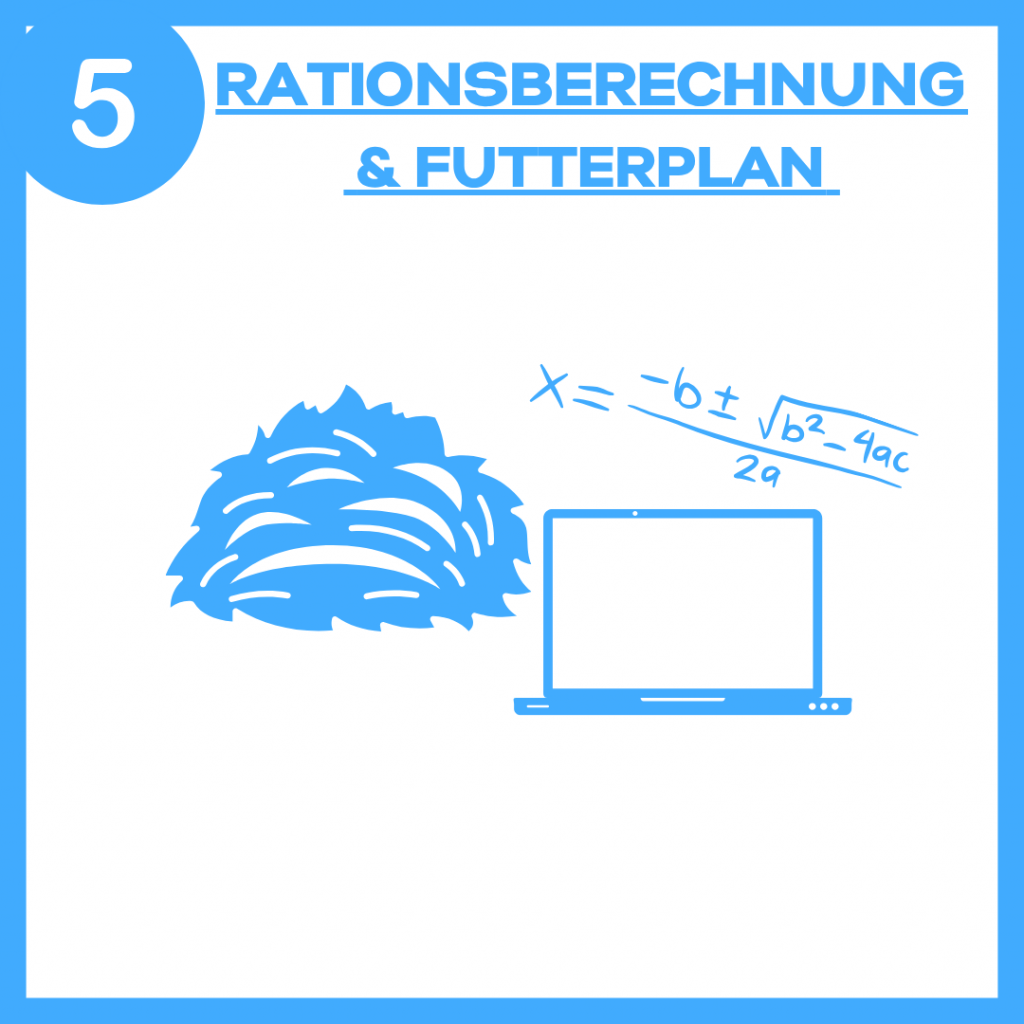 Berechnung: Heu, Formel & Laptop
