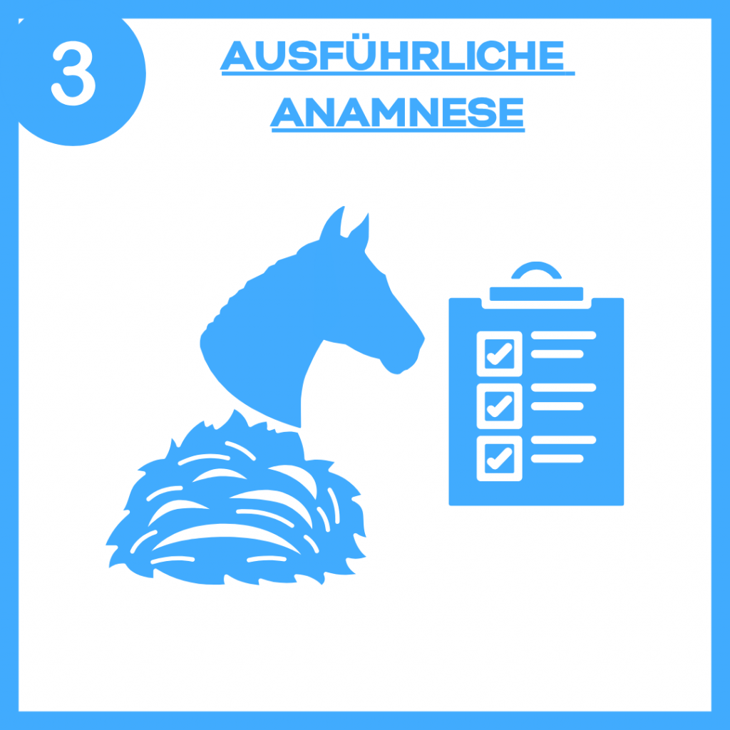 Anamnese: Pferd, Heu, Klemmbrett